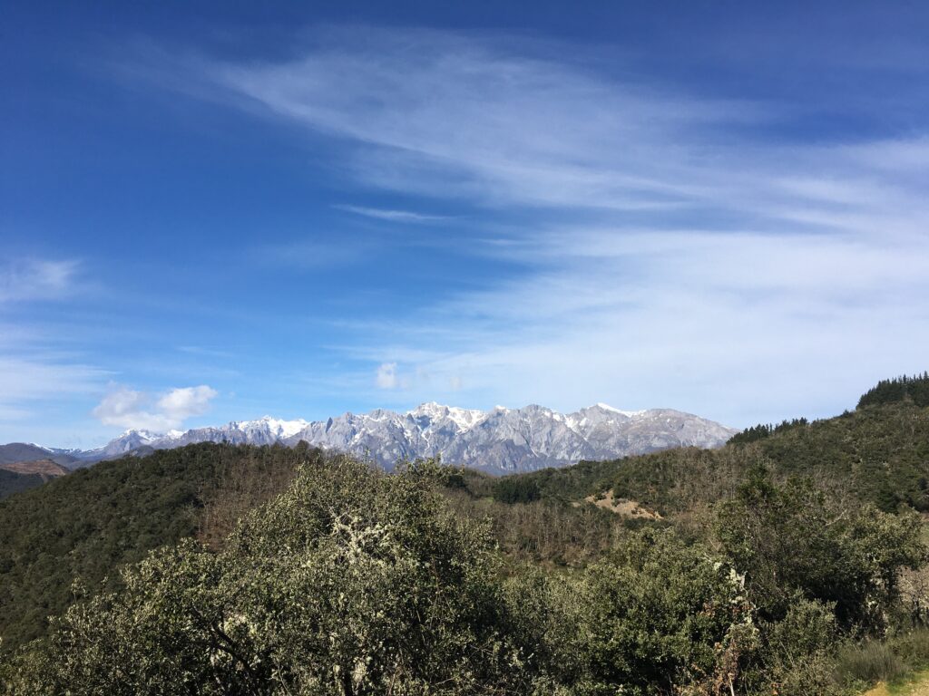 vista picos vista picos